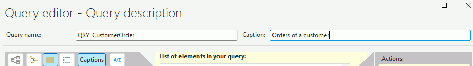 Name and caption of query