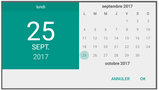 Date picker for Android system
